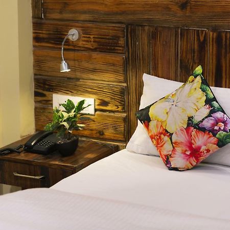 Nirvana Lodge And Lounge Mussoorie Extérieur photo